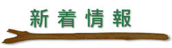 新着情報
