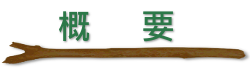 概要
