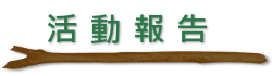 活動報告